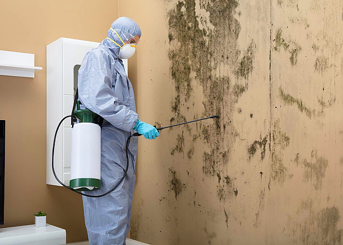 Mold remediation professional in a bio-hazard suite spraying disinfectant on a mold covered wall