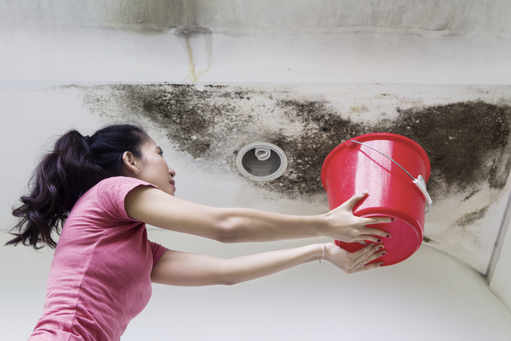 Photo Of Young Woman Holding A Bucket While Collecting Drops